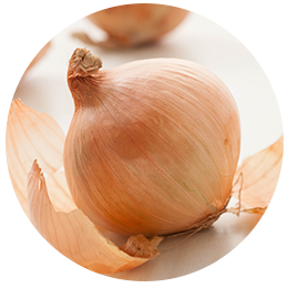 item1_3